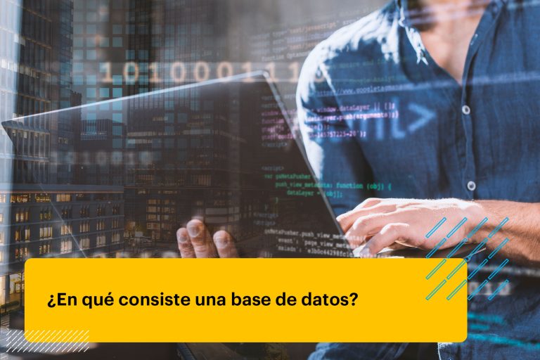 programador web viendo una base de datos