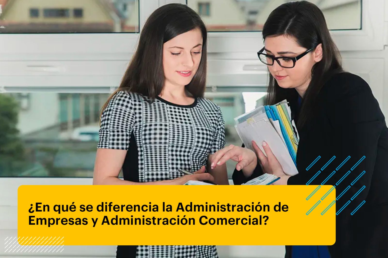 administradores de empresas