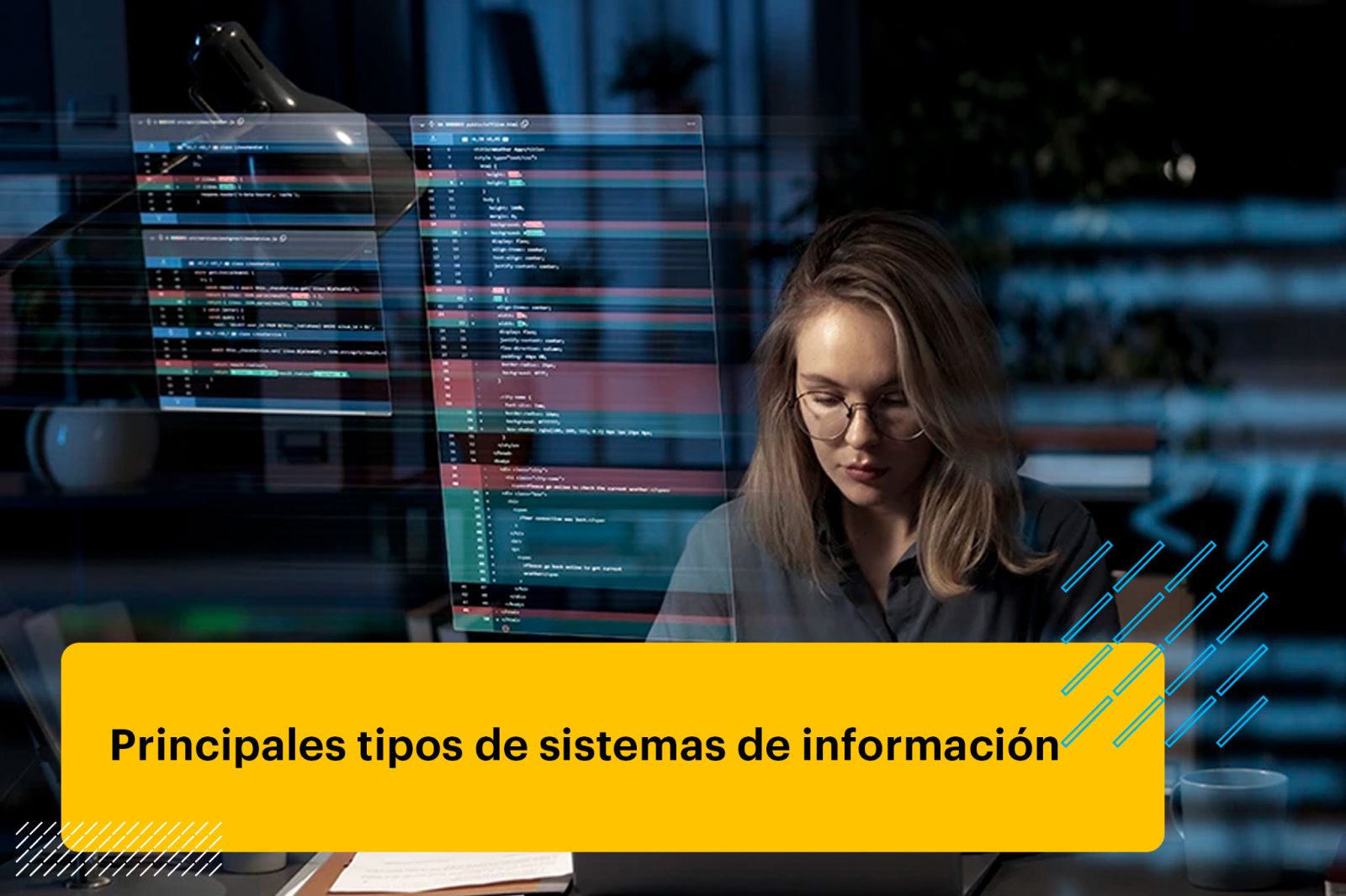 profesional experta en sistemas de información