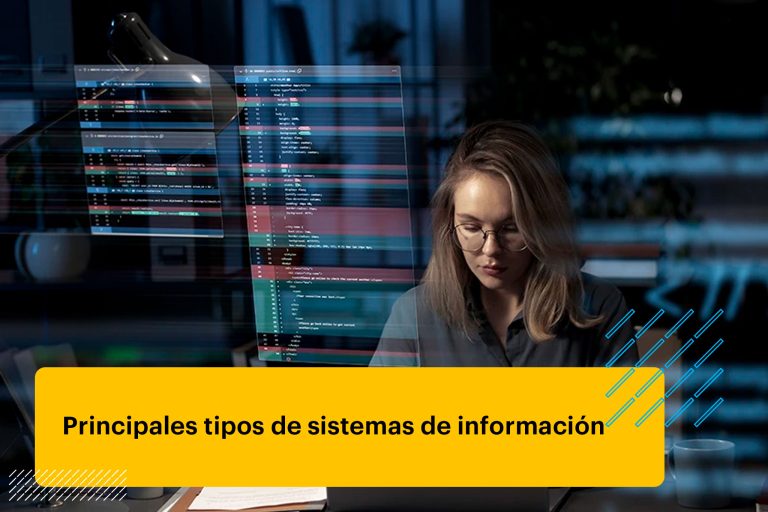 profesional experta en sistemas de información