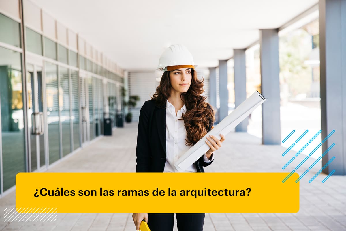 ramas de la arquitectura