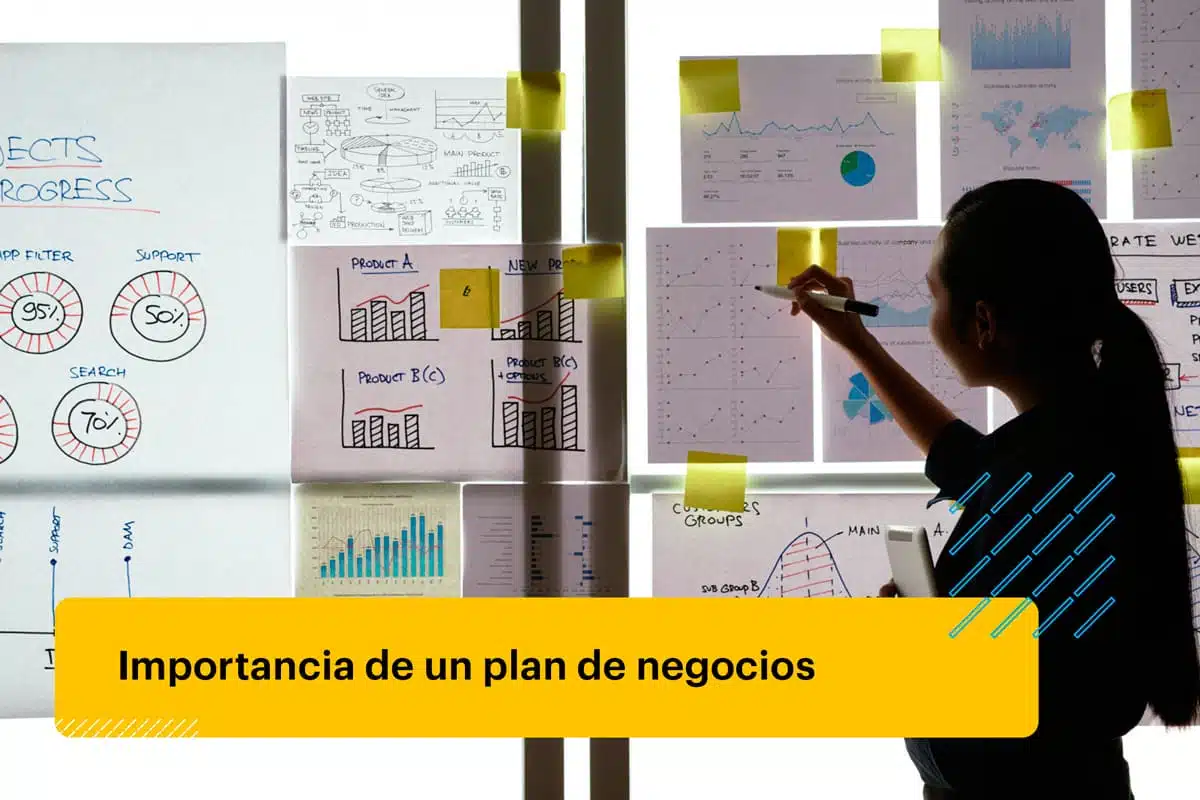 Plan de negocio