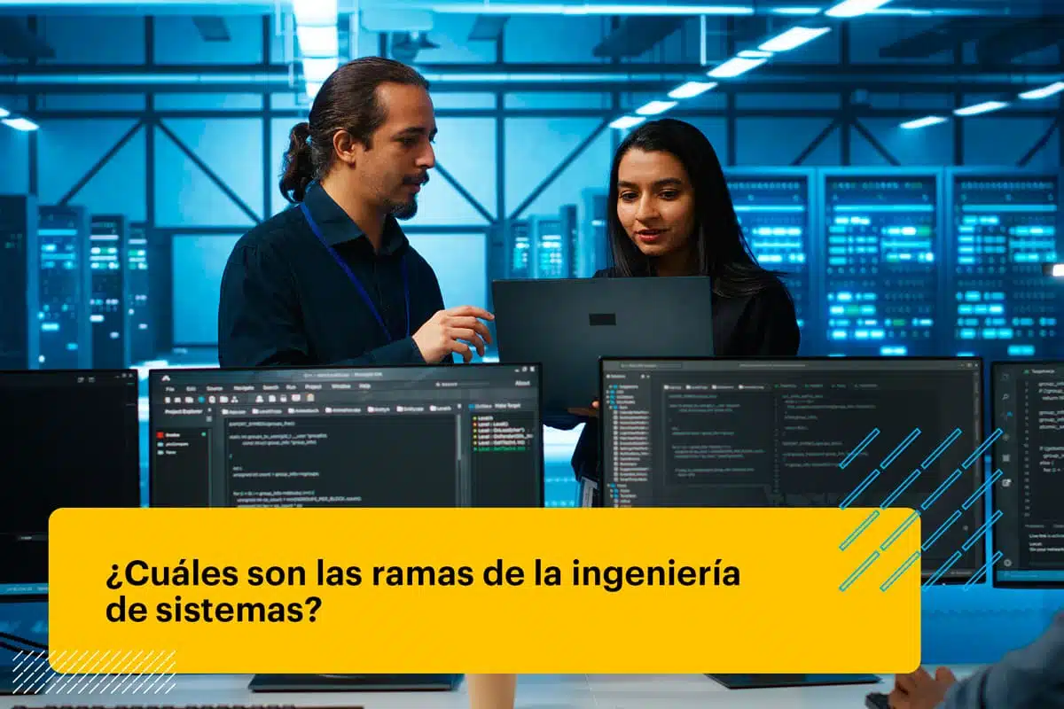 ramas de la ingieneria de sistemas