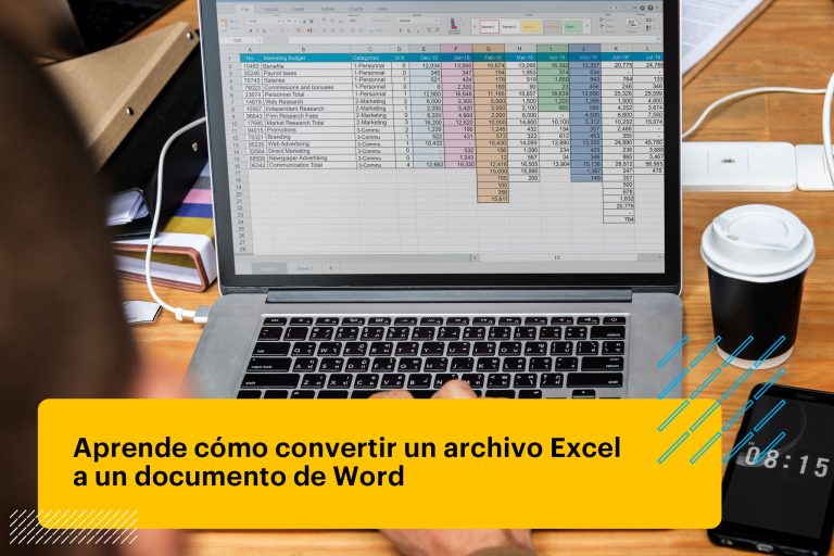 profesional usando Excel en su laptop