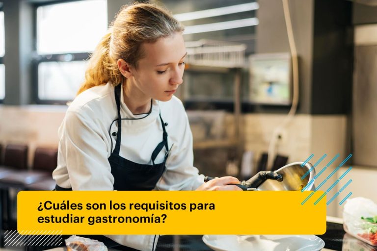 que se necesita para estudiar gastronomia​