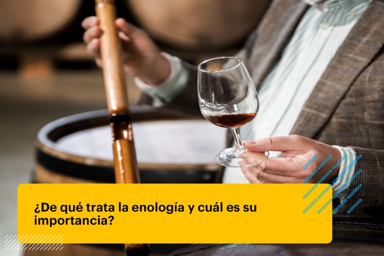 enólogo profesional sosteniendo una copa de vino