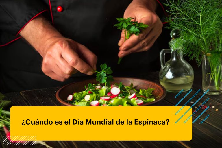 chef cocinando una ensalada de verduras frescas